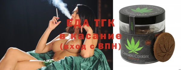дмт Надым
