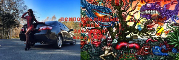 Альфа ПВП Михайлов