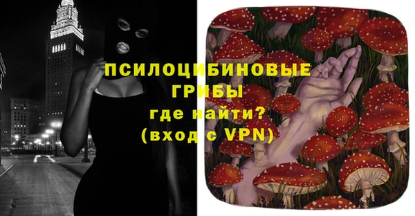 ECSTASY Михайловск