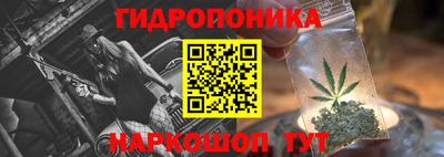твердый Будённовск