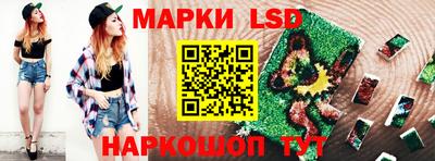 стаф Берёзовский