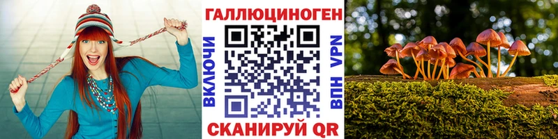 Галлюциногенные грибы Psilocybe  как найти наркотики  KRAKEN зеркало  Нововоронеж 