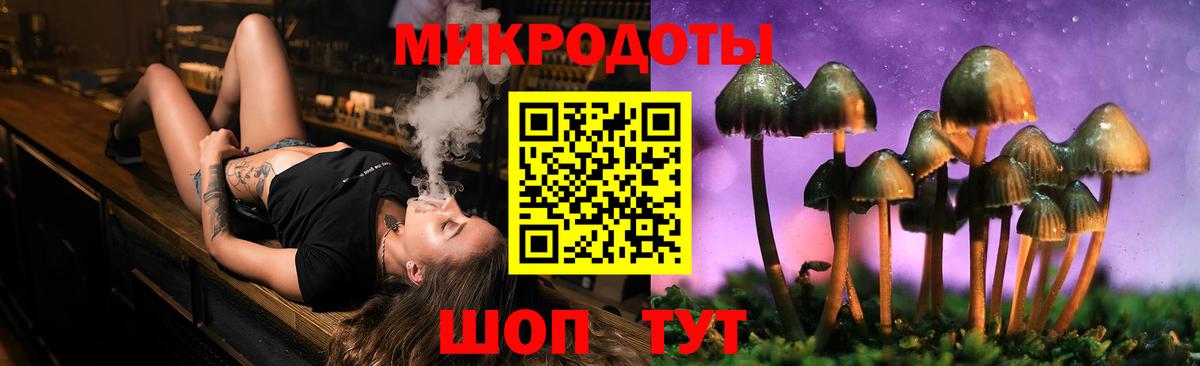 Галлюциногенные грибы Psilocybe  Галлюциногенные грибы мухоморы  Нововоронеж  Вход с VPN 