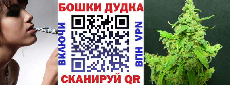 Марихуана сатива  МЕГА tor  Нововоронеж 